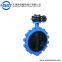 WLTD71X-10P Manufacturer the Whole Stainless Steel Worm Gear Lug Butterfly Valve