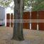 Laser Cut Corten Steel Fences