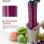 600ml 300W electrical personal blender porable juicer