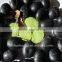 organic black bean(green,yellow)