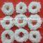 Good Taste Frozen Breaded Squid Ring for Sale