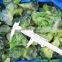Factory IQF Frozen Broccoli Floret 4-6CM