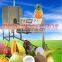 Automatic pineapple mango peeling machine kiwi fruit apple cutting peeler machine