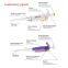 Pipettes - Pipettes de laboratoire