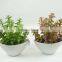 Artificial potted plant artificial plant artificial succulent wholesale