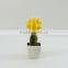 Best selling high simulation tropical plants artificial mini succulent plants