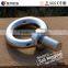 Stainless Steel Eye Bolt