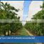 agricultural greenhouse horticultural usage hdpe woven fabric tarpaulin waterproof orchard cover