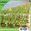 gardens agricultural shade net best selling products