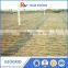 Geotechnical Geogrid