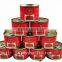 Fresh canned tomato paste with good quality and best price
