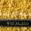 Frozen IQF sweet corn kernels with good quality and hot price