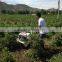 196cc 6.5hp rotor cultivator plow horticulture tracteur