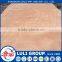 hot sale 9-18mm commercial plywood