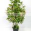 home decorative evergreen artificial small tree plastic potted tree cheap plastic tree for sale