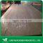 BLUE HORSE EMBOSSED LARCH PLYWOOD 4.5mm,7.5mm 11.5mm                        
                                                Quality Choice