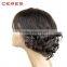 2016 Wholesale high quality brazilian virgin tina turner human hair wig