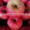 supply shandong fuji apple gansu tianshui fresh red Fuji apple direct supplier for asia Market