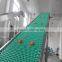 plastic belt lifting conveyor system for different industries