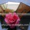 Color Mirror with CE ISO TUV INTERTEK