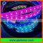DC5V 74LEDs/m SK6812 RGB LED pixel strip