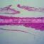 biology chick embryo microscope slides