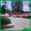 vacation hotel sightseeing train electric trackless train