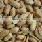 New Crop / Canned Roasted & Salted Peanuts 150g