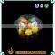 Disposable transparent round salad box/ plastic salad box /fresh fruit container