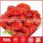 Dried Red Cherry Fruit for Wholesale