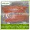Frozen Chum Salmon Fillet