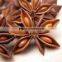 Big flower star aniseeds, competitive price from Vietnam