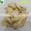 Dried Sliced Ginger for Sale