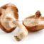 Detan Organic dried shiitake mushroom prices