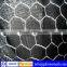 Wire netting,galvanized wire netting,pvc coated wire netting(ISO9001,CE,SGS)