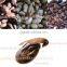 Automatic Roasted Cacao Nib Peeler Roasted Coffee husk Peeler Machine