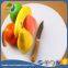 SGS FDA Approved HDPE Kitchen Food Cutting Boards