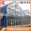 China multi-span glass greenhouse hydroponic systems for agriculture