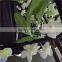 IP65 led wedding decoration christmas led tree lighting