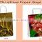 Decorative Paper Gift bags with glossy finish