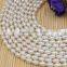 Fashion jewelry natural freshwater teardrop sea shell pearl beads