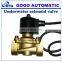G1/2 "220V 24V 12V Underwater Fountain Dedicated Normally Closed , 2W160-15 Underwater Valve Solenoid