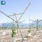 Table Grape Trellis Systems Open Gable Trellis