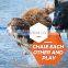 dog teeth cleaning toy squeak chew toy for dog release energy accept custom color