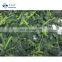 Sinocharm New Season Organic vegetables 30-50mm IQF Cut Spinach Frozen Spinach