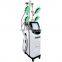 2022 Newest Fat Freezing Machine Criolipolisis Weight Loss Beauty Body Slimming Fat Freezing 360 Cryolipolyse