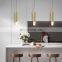 Modern Led Pendant Light Simple Single Head Hanging Lamps For Master Bedroom Bay Window Dining Table Restaurant Long Line Lamp