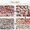 industrial peanut roaster machine yoghurt coated peanuts production line