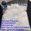 Factory Supply Dihexa 99% Solid CAS 1401708-83-5 99% White particle Fubeilai