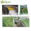 plant for raisin /dried grapes processing machine
